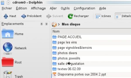 Screenshot Dolphin failure reading a CD with broken encoding